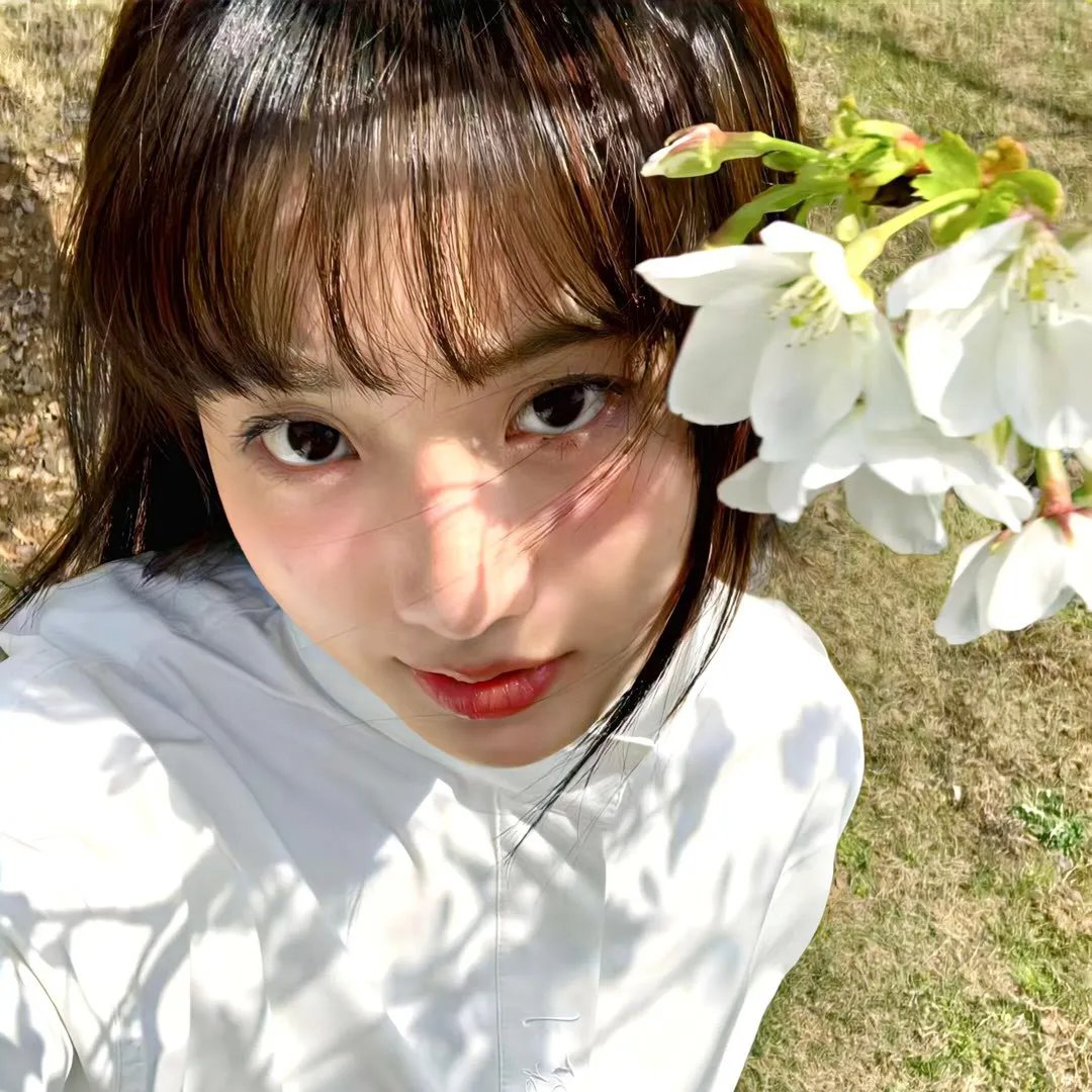 但见新人笑哪闻旧人哭